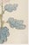 Not Yet Made - Made To Order Blush Mum by Hasegawa, Vintage Japanese Botanical Art Print, 12" X 18" For Sale - Image 5 of 8