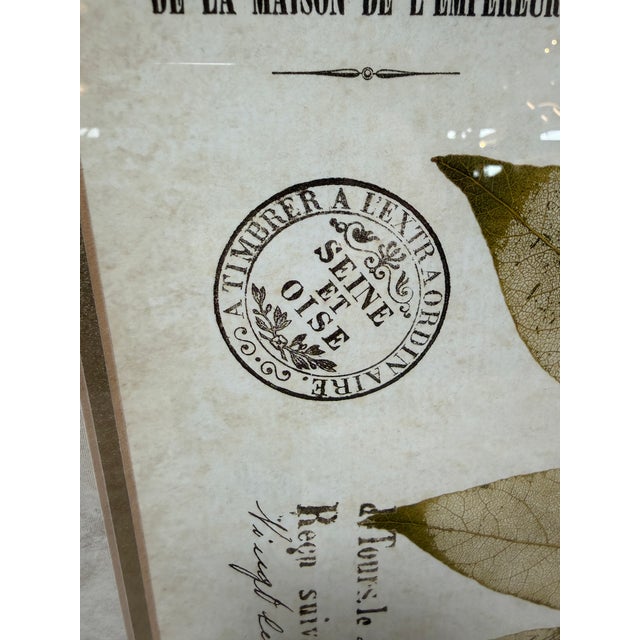 Brown Botanical Collection Plates, Set of Two For Sale - Image 8 of 12