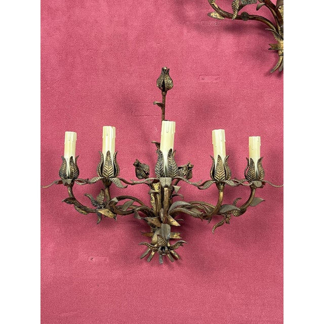 Tan Mid-Century French 5-Light Wall Lamps, 1950s, Set of 2 For Sale - Image 8 of 11