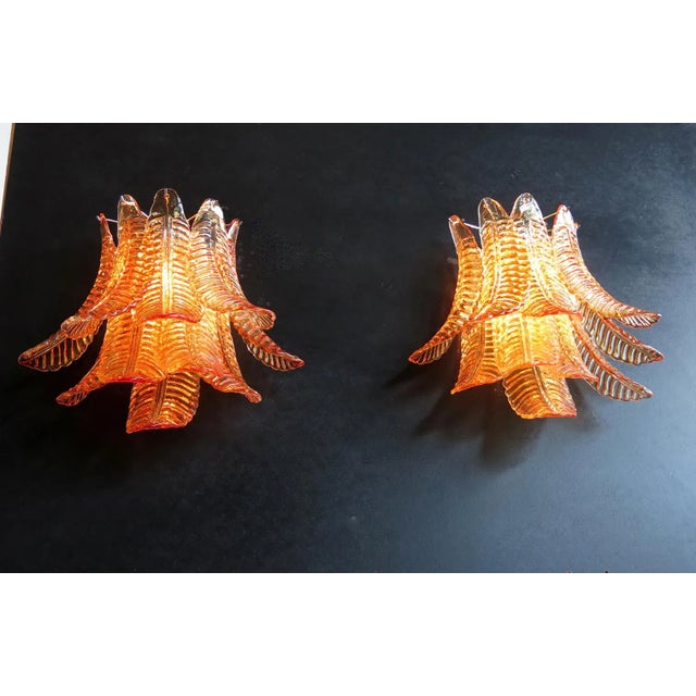 Pair of Murano Six-Tier Felci Wall Sconce – 10 Amber Glasses For Sale In Los Angeles - Image 6 of 7