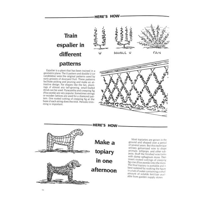 "Landscaping in Florida: A Photo Idea Book" 1989 Perry, Mac For Sale - Image 10 of 12