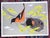 2010s Vintage Charley Harper Diminutive Modernist Abstracted Bird Lithographs - Set of 9 For Sale - Image 5 of 9