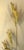 Metal Vintage Jere Style Brutalist Botanical Wall Art For Sale - Image 7 of 9