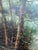 Mid-Century Robert Wollinger Oil on Canvas Forest Landscape Painting For Sale - Image 9 of 12