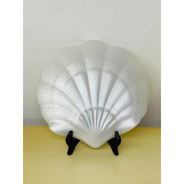 White Pearlescent Seashell Plate Set For Sale - Image 8 of 11