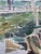 1945 Mid-Century Modern Regionalist Landscape Watercolor by Floyd F. Hackman For Sale - Image 9 of 18