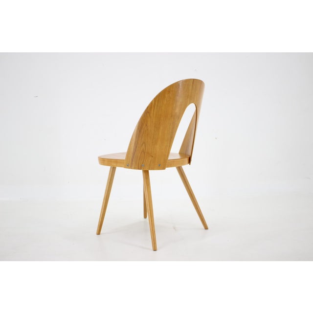 Brown Antoni Suman Chair in Walnut, Czechoslovakia, 1960s For Sale - Image 8 of 15