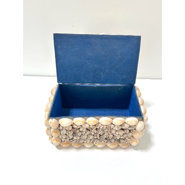 1940s Handcrafted Seashell Box, Coastal Palm Beach Decor For Sale - Image 9 of 10