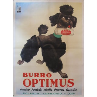 Vintage Italian Poodle Poster For Sale