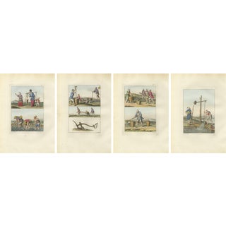 Ferrario, Chinese Agricultural Labor Scenes, Hand-Colored Engravings, 1815, Set of 4 For Sale