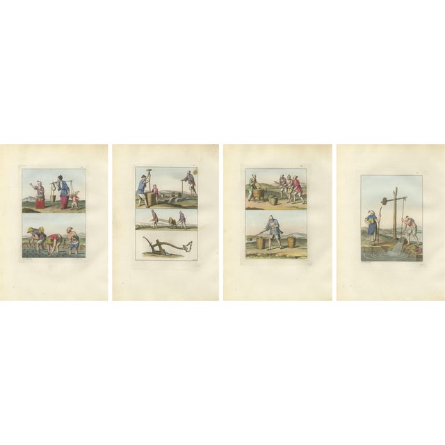 Ferrario, Chinese Agricultural Labor Scenes, Hand-Colored Engravings, 1815, Set of 4 For Sale