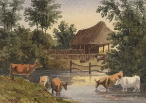 William James Müller, Cows, Watercolour