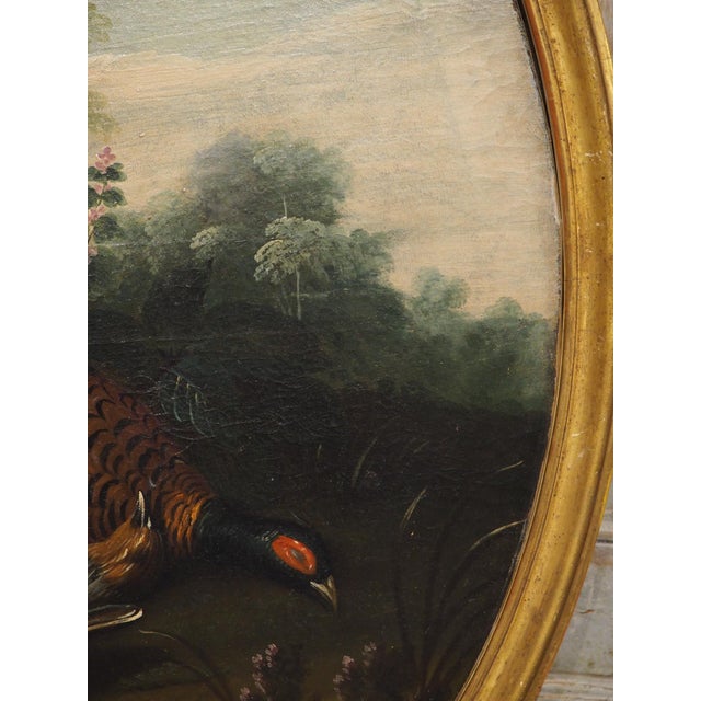 Pair of French Antique Hunt Trophy Paintings in Giltwood Frames, 19th Century For Sale - Image 15 of 18