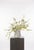 An airy, light-filled arrangement of white and pale yellow gerbera, mimosa, and delicate greenery. The extended stems...