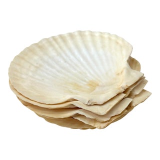 Vintage Shell Cocktail Plates - Set of 6 For Sale