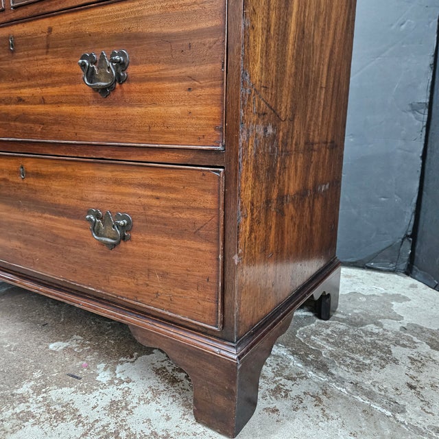 Wood Late 19th Century Mahogany Oak Lined 2 Over 2 Drawers Georgian Chest For Sale - Image 7 of 16