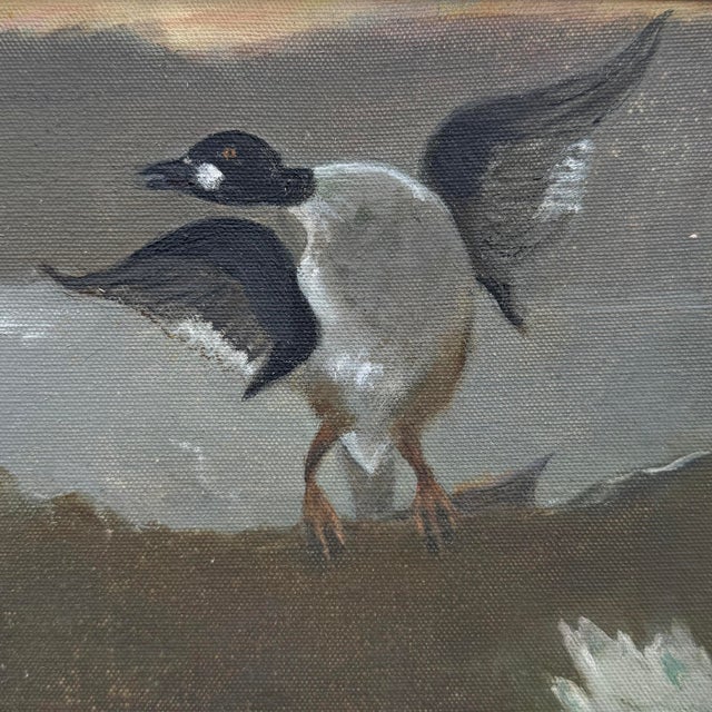 Naive Common Goldeneye Oil on Canvas Painting For Sale In Chicago - Image 6 of 12