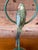 Verdigris Vintage Coastal Regency Verdigris Parakeet Table Lamps With Scalloped Metal Shades-Pair For Sale - Image 8 of 11