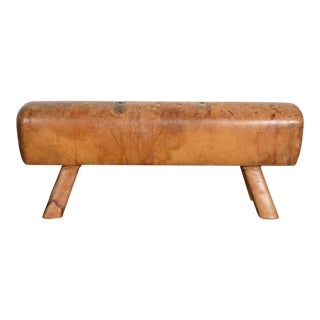 Early 20th Century Vintage Leather Pummel Horse For Sale