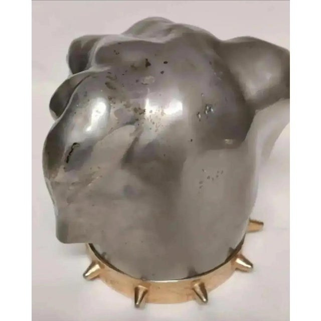 Antique Figural Dog Head Tobacco / Cigarette Box ~ Circa Late 19th Century For Sale - Image 4 of 11