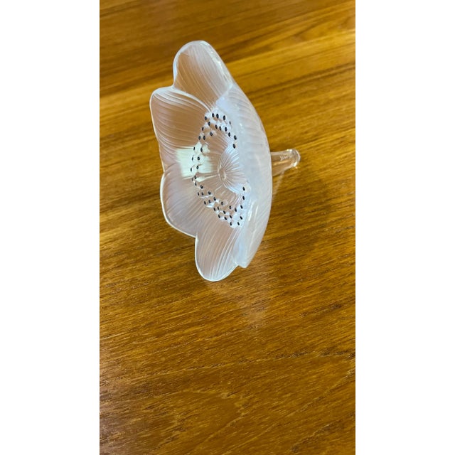 Modern Lalique Anemone Crystal Flower Paper Weight For Sale - Image 3 of 6