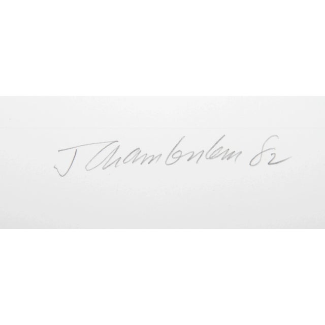 A print from John Chamberlain's portfolio "Ten Coconuts". Although known widely for his sculptural work, John Chamberlain...