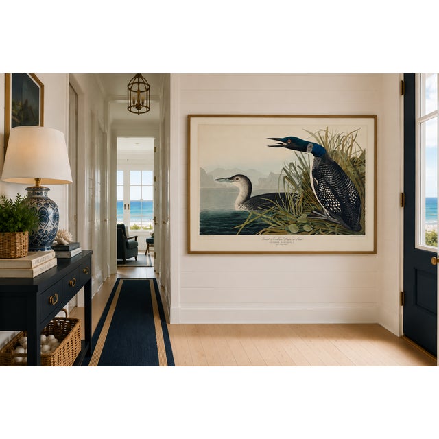 John James Audubon Great Northern Diver or Loon, Vintage Art Print Reproduction From Birds of America by John James Audubon, 60" X 40" For Sale - Image 4 of 11