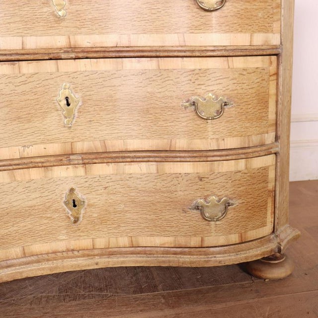 Austrian Bleached Oak Commode For Sale - Image 5 of 15