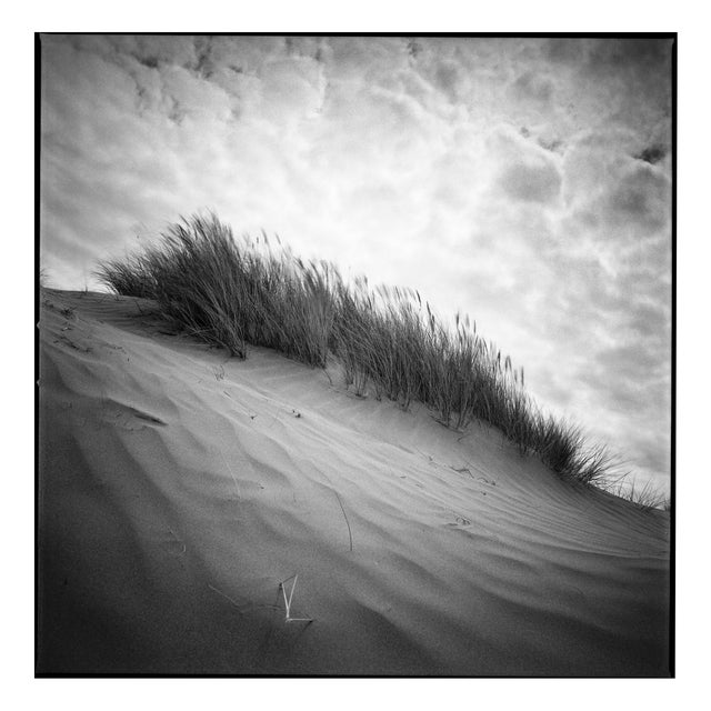 Paul Cooklin, Sand Dune I, North Devon, 2011, Edition 2/10 For Sale