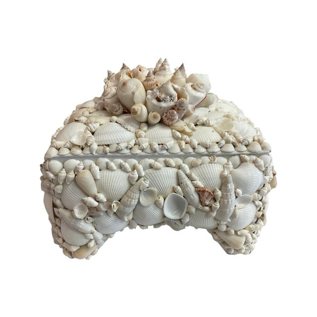 2020s White Footed Lidded Shell Box With Decorative Cluster on Top For Sale - Image 5 of 7