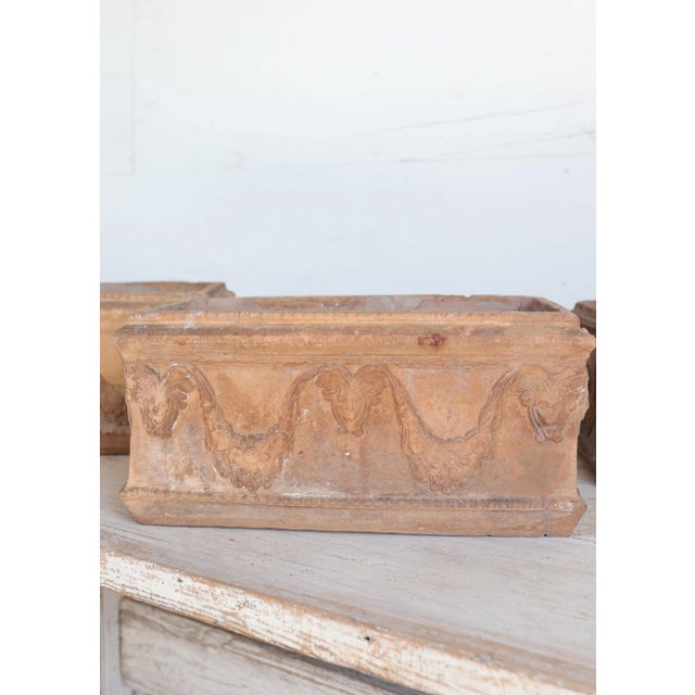 19th Century Set of Six 19th Century French Terracotta Planters For Sale - Image 5 of 14