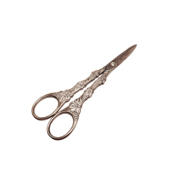 Metal Danish Art Nouveau Grapes Scissors, 1920s For Sale - Image 7 of 7