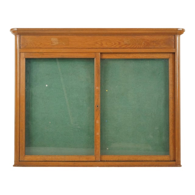 Vintage French City Hall Wall Mounted Display Case For Sale