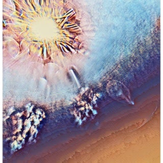 Ian Jones, Sea Sun, Pigment Print For Sale