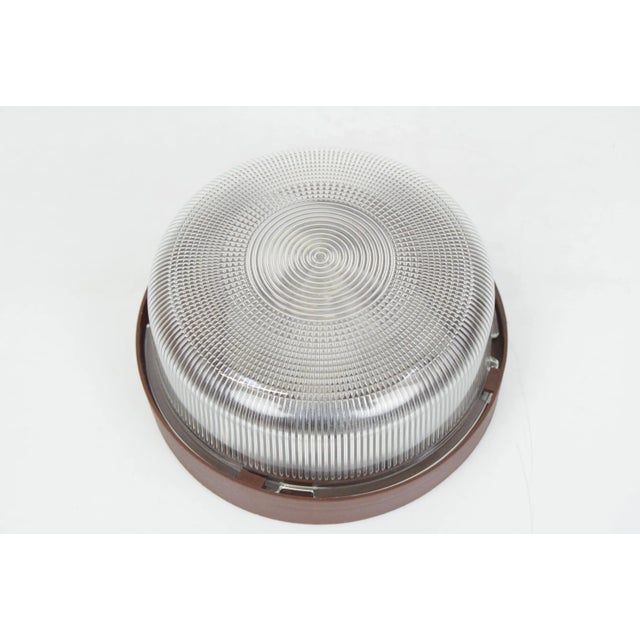 Gold Mid-Century Ceiling or Wall Light, 1960s For Sale - Image 8 of 12