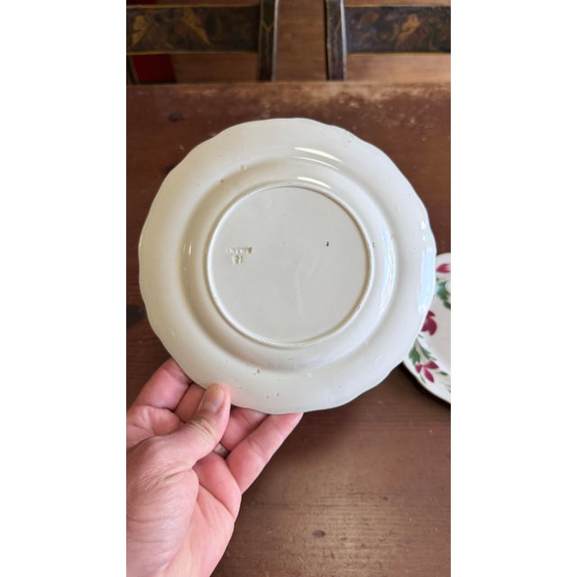 Early 19th Century A Very Nice Pair of Antique Staffordshire Early Adam’s Rose Plates, Circa 1830 For Sale - Image 5 of 11