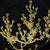 Set of Six Vintage Black Maki-E Lacquer Art Kyoto Japan Decorative Plates Hand Painted Gold Botanical Floral Patterns For Sale - Image 12 of 18