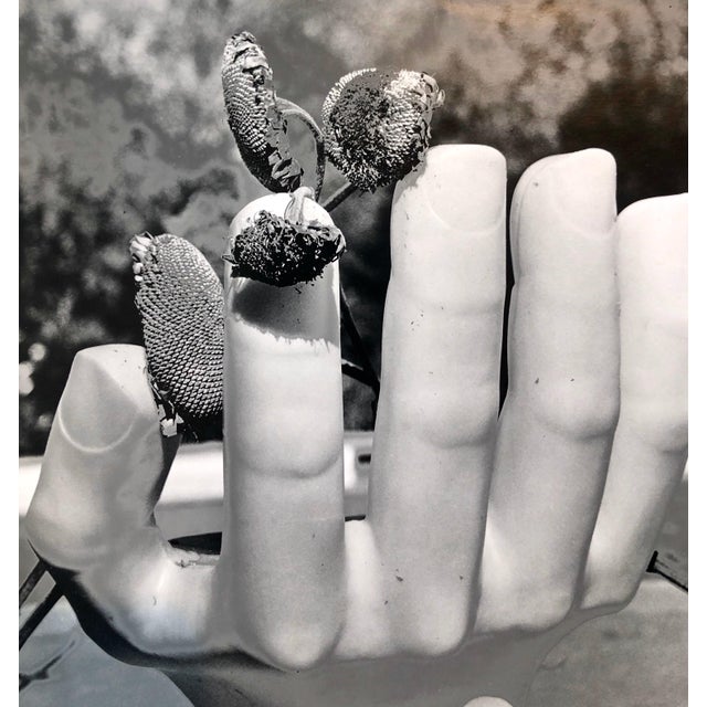 This depicts a chair in the manner of Mexican surrealist modernist Pedro Friedeberg with a dried flowers. It is a hand...