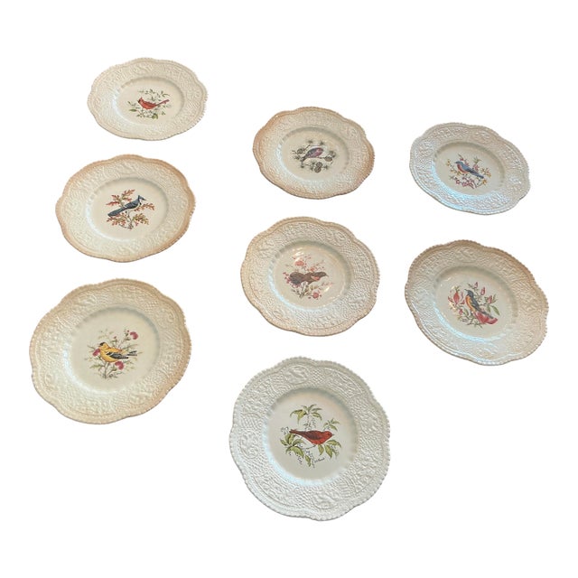 Royal Cauldon Bristol Ironstone “Aviary” Bird Plates by h.a. Pausch, Set of 8, Mid-Century For Sale