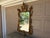 French Provincial Early 20th Century French Louis XV Carved Giltwood Wall Mirror For Sale - Image 3 of 18
