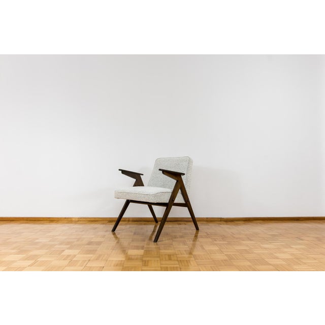 Model 300 177 Bunny Armchair, Poland, 1960s For Sale - Image 15 of 15