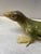 1950s Large French Majolica Lizard Vallauris Circa 1950 For Sale - Image 5 of 12