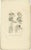 Anatomy Illustrations of Ligaments and Joints, 1839, Prints, Set of 13 For Sale - Image 12 of 15