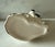 Antique Staffordshire Style Ceramic Spaniel Figurine For Sale - Image 10 of 12