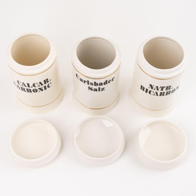 Antique-Style Ceramic Apothecary Jar Set - Set of 3 For Sale - Image 11 of 11