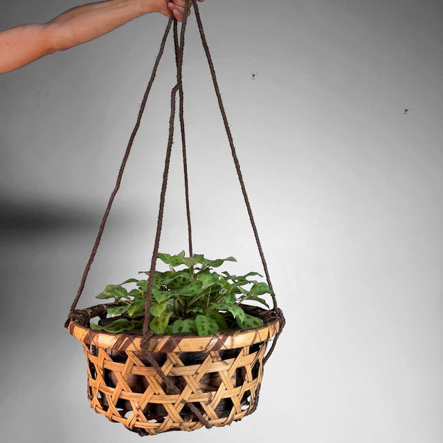 Brown Japanese Bamboo Hanging Basket, 1950s For Sale - Image 8 of 15
