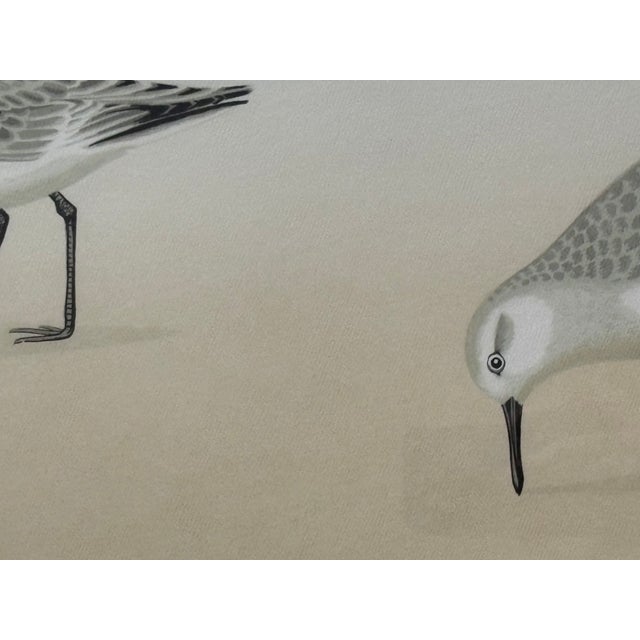 Tan 1970s Print - Sandpipers by David Grose For Sale - Image 8 of 11