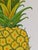 Paper Pineapple Fruit Modern Botanical Paintings by Cynthia Geyer For Sale - Image 7 of 7