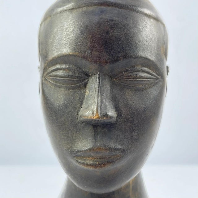 Early 20th Century Early 20th Century Twin Kuba Cup MATTER COLLECTION For Sale - Image 5 of 11