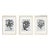 Framed Original Drawings 'Black and White Floral Abstractions on Vintage Music Score Sheets' #2 - Wall Gallery Installation - Set of 3 For Sale